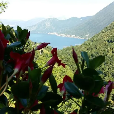 Mirabella Dizzasco